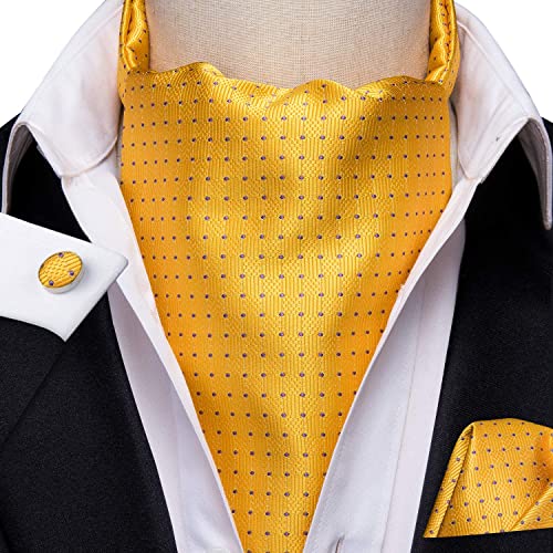 Image of Hi-Tie Silk Ascot for Men Self Tie Men's Cravat and Flower Lapel Pin Handkerchief Cufflinks Set for Wedding Party