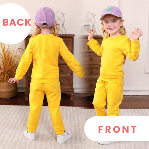 Toddler Baby Girl Boy Clothes Solid Color Sweatsuit Long Sleeve Fall Outfits 2Pcs Winter Pant Sets3