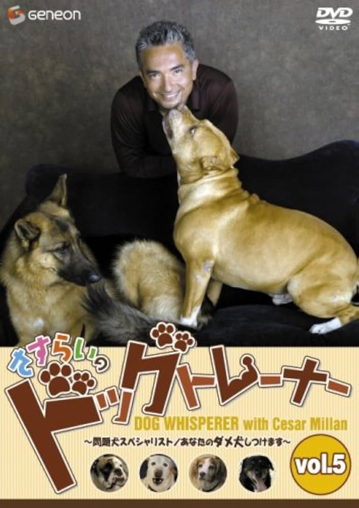 さすらいのドッグトレーナー Vol.5~問題犬スペシャリスト Amazon.co.jp: さすらいのドッグトレーナー Vol.5~問題犬