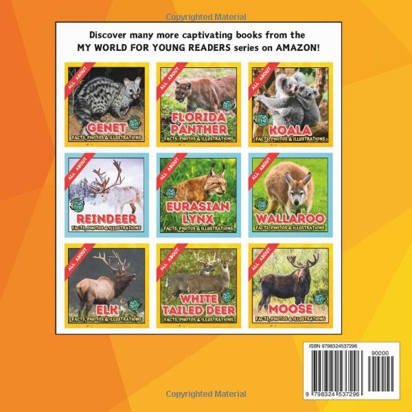 All about Cougar | Facts, Photos and Illustrations: A Picture Book for Kids and Toddlers | Screen-Free Infotainment (MY WORLD for YOUNG READERS)