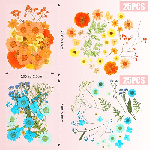 100 Flores Secas Prensadas para Manualidades DIY miniatura 7