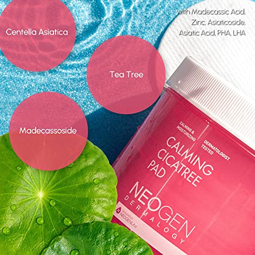 DERMALOGY by NEOGENLAB Beruhigendes Cica Tree Pad 5,07 Fl Oz / 90 Pads (150 ml) – Beruhigendes, peelendes PHA- und LHA-Pad für empfindliche Haut, saubere Schönheit – koreanische Hautpflege