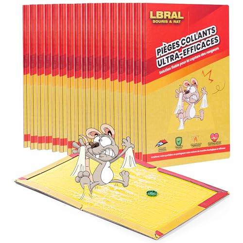 Pièges à Souris & Rats – Lot de 20 Plaques de Glu Ultra-Collantes | Pliable, Non Toxique, Facile à Installer | Usage Intérieur & Extérieur | Format XL...