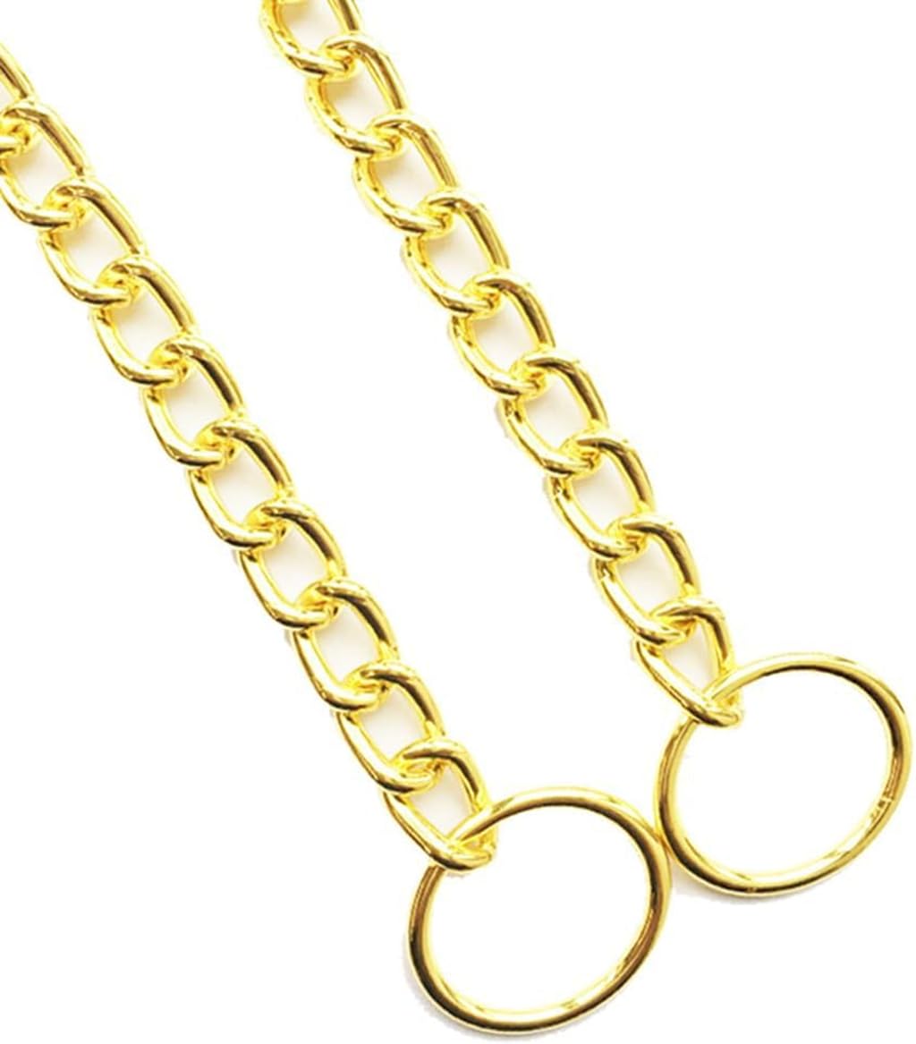 Collier en métal pour chiens de grande taille, collier martingale robuste pour chiens de petite, moyenne et grande race, garçons et filles, argenté + doré, XL