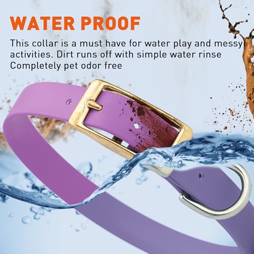 Image of Viper Biothane Heavy Duty Waterproof Dog Collar Strong Coated Nylon Webbing w /Solid Brass Hardware Odor-Proof Easy to Clean High Performance Fits Small Medium or Large Dogs, Amethyst Purple