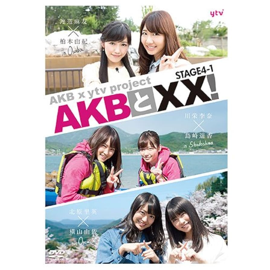 AKB48 ライブDVD 10枚まとめ売り AKB48劇場10周年 記念祭&記念公演 [DVD]｜Yahoo!フリマ（旧