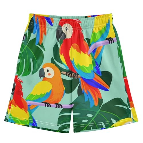 J JOYSAY Macaw Monstera Branch Aqua Boys Athletic Shorts Kids Youth Casual Shotrs with Pockets Elastic Waistband