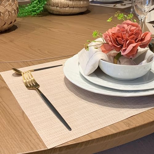 Kit Jogo Americano C/ 6 Pçs - Oferta (Marrom Claro)