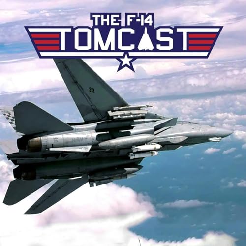 24. The F-14 Tomcat in Operation Iraqi Freedom Podcast Por  arte de portada