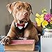 HACRAHO Formelles Hunde-Smoking-Halstuch, 1 Stück Rotes Hunde-Smoking Baumwoll-Halstuch Hunde-Hochzeitshalsband mit Fliege und Krawatte für Hunde und Katzen, L