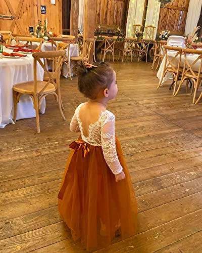 2Bunnies Girls Rose Lace Back A-Line Tutu Tulle Party Flower Girl Dress4