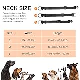 Zoom IMG-1 ruxan riflettente cani collare con Zoom IMG-1 ruxan riflettente cani collare con