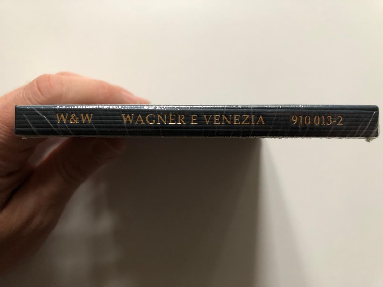 Wagner E Venezia