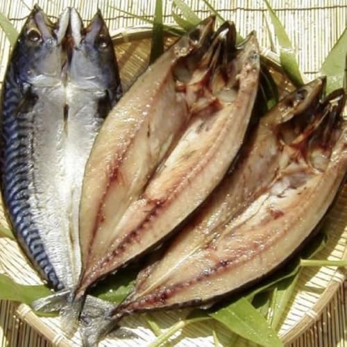 肉厚で大きなトロ鯖 3枚(約200〜250g×3枚)脂がのってます!