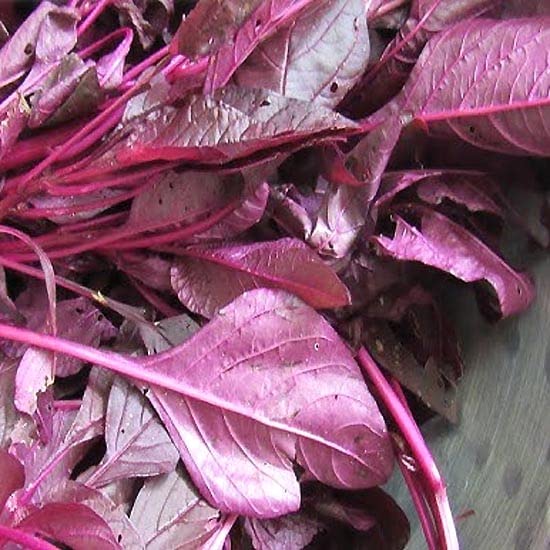 Sri Muthaya Organic Farms_ செங் கீரை | Seng Keerai | Red Spinach Garden Seeds (Home Garden Seeds) - Pack of 20grms (B09S9ZW7N6) Amazon Price History, Amazon Price Tracker