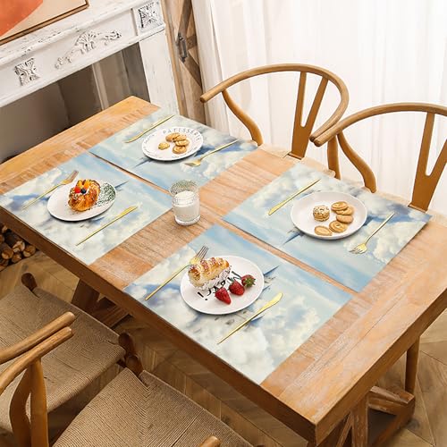 Set de table lin lavable blanc 45x30 cm : placemats design salle à manger