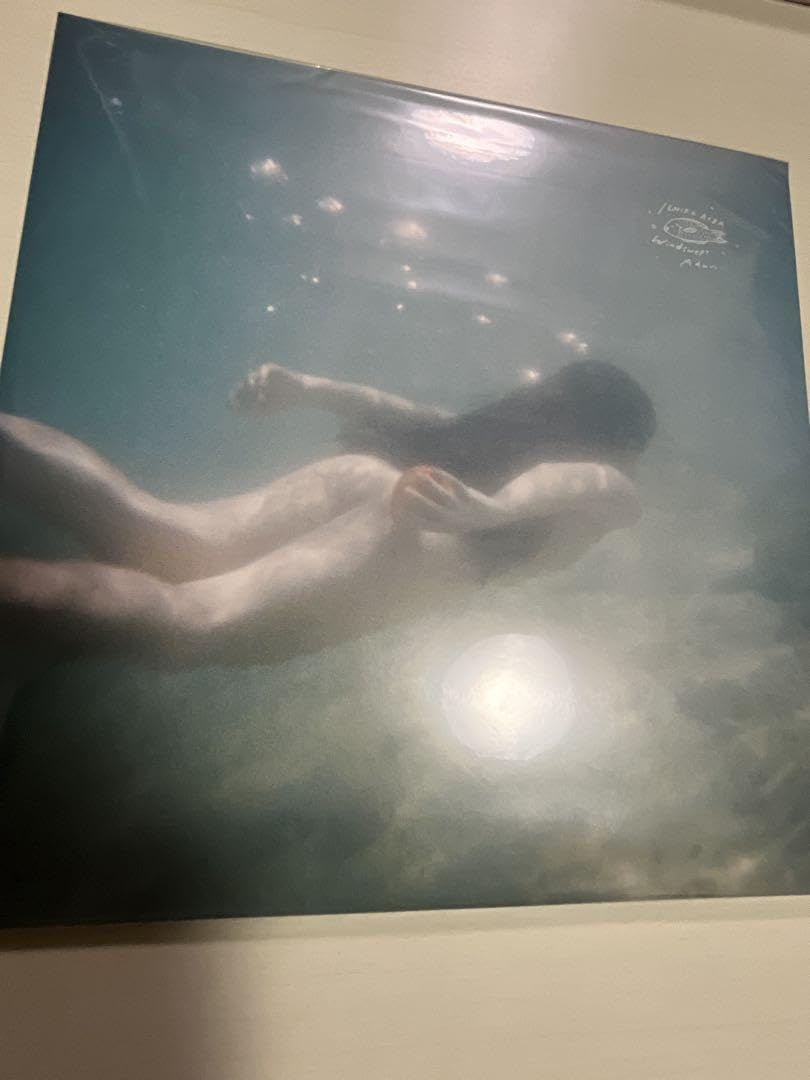 青葉市子　アダンの風　国内盤　レコード　新品未開封 青葉市子 アダンの風 (国内盤1stプレス2枚組アナログレコード