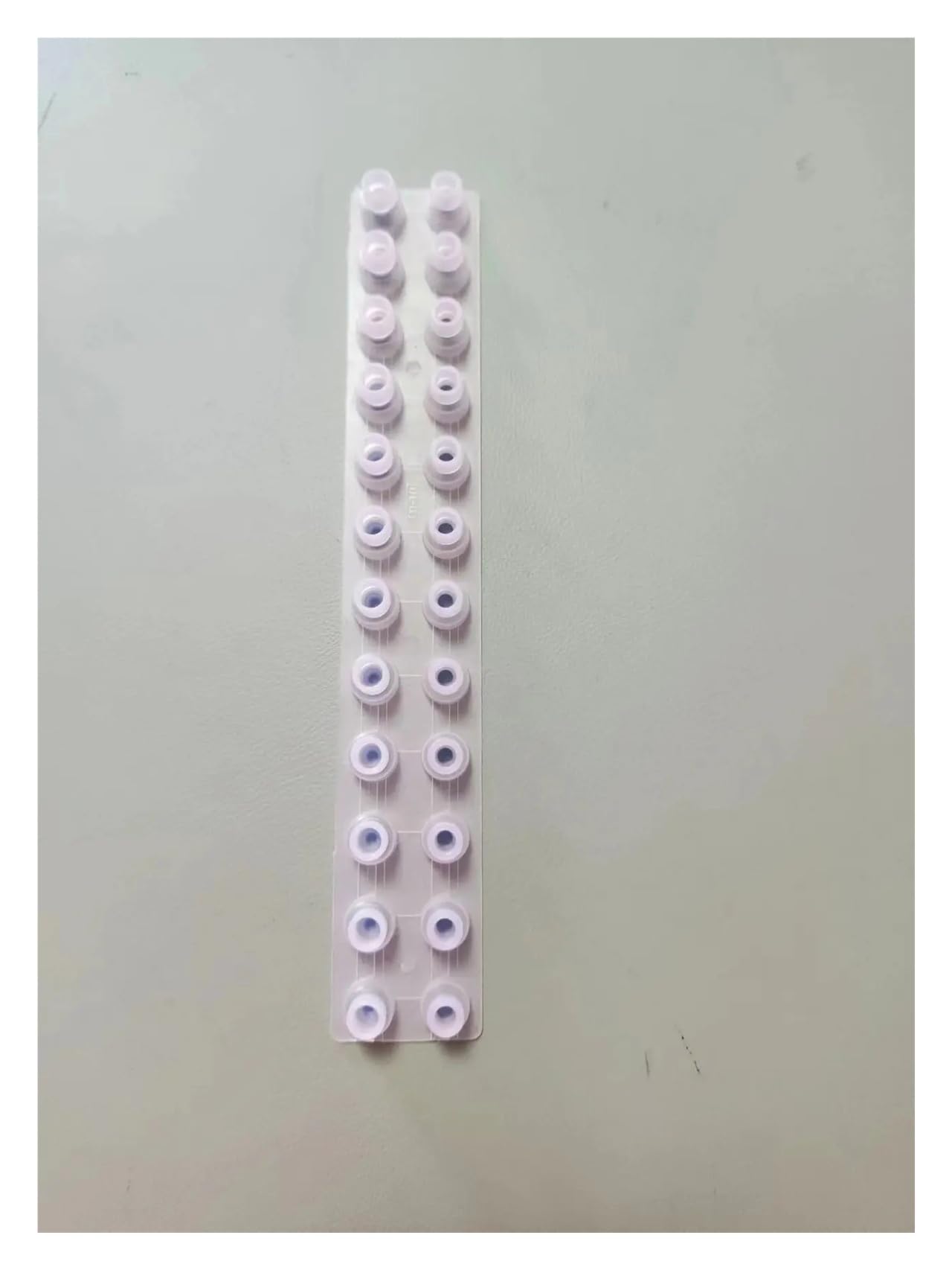 Cuscinetto in gomma conduttiva for chiave, compatibile con CASIO | WK3000 WK3100 WK3300 WK3500 WK3800