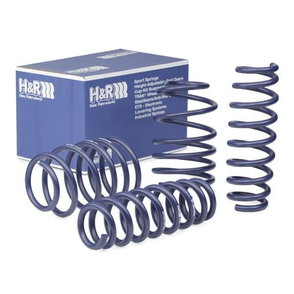 Amazon.com: H&R 29183-1 Lowering Springs : Automotive