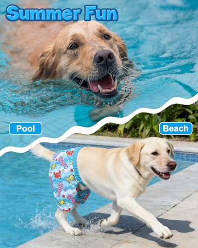 Image of CuteBone Dog Swim Trunks Swimsuit Durable & Comfortable - Quick-Dry, Adjustable Waistband Shorts, UV Protection Bikini- Perfect for Beach, Pool & Outdoor Fun, Dinos DST13M