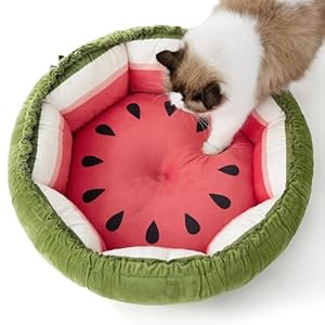 Lesure Cat Beds for Indoor Cats – Washable Cute Cat Beds with Versatile Dual-Use Design, Reversible Donut Pet Bed for Puppy and Kitten, 21x21x7 Inches