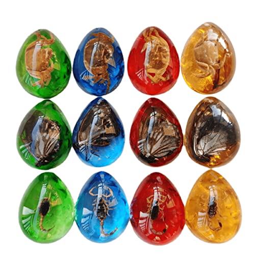 Image of Colourful Amber Fossil Insect Artificial Amber Insect Specimen Pendant Amber Stone Ornament for Collection,Science Education (12 PCS)