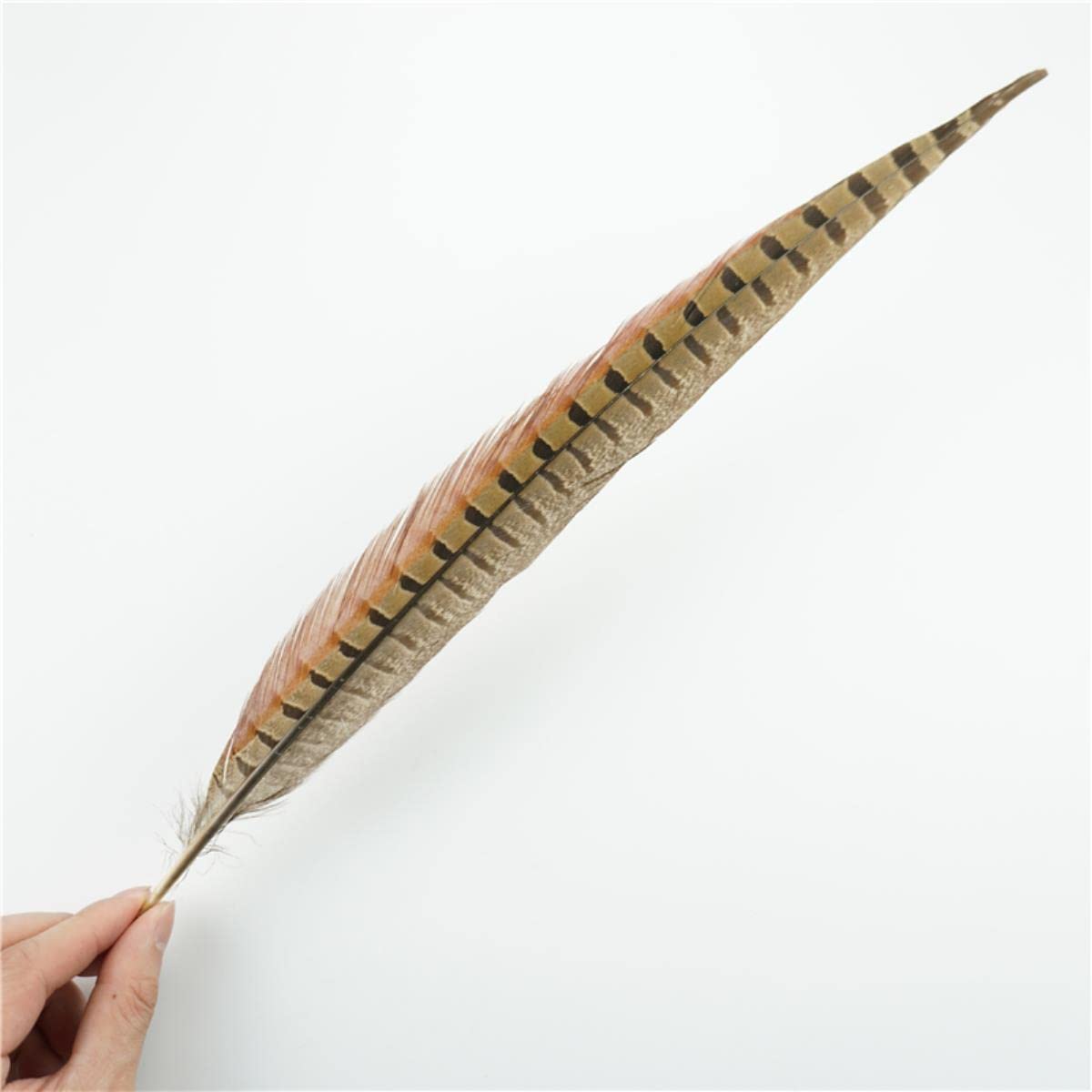 pióra soarer, Pióra z ogona bażanta 40-45 cm, wielokolorowe, opakowanie 10 sztuk(Green,100Pcs)