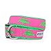 The Worthy Dog Green Alligators Pattern Designer Adjustable and Comfortable Nylon Webbing, Side Release Buckle Collar for Dogs ,Small -Pink Color