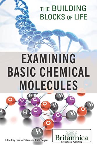 Examining Basic Chemical Molecules (Building Blocks of Life)