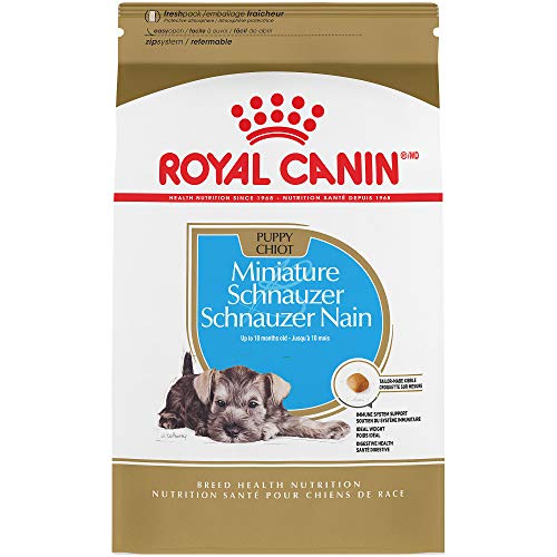 Best Schnauzer Food