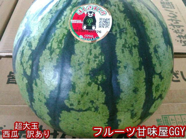 Amazon.co.jp: 超大玉すいか 訳あり 8キロオーバー 大玉限定！ スイカ