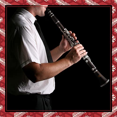 Image of Eastar B Flat Ebonite Clarinet Beginner, Nickel, Hard Case Kit, ECL-300