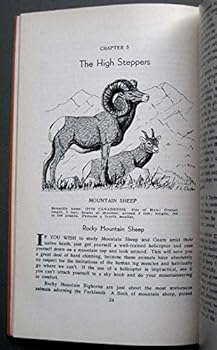 1944 Birds and Animals in the Rockies Banff Jasper