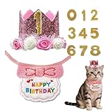 Hunde-Geburtstags-Deko Set - Verstellbare Halskrause mit Zahl - -Geburtstagsdekorationen und Zubehör,für Adoptionsfotos, Kleintiere, Zuhause & Drinnen