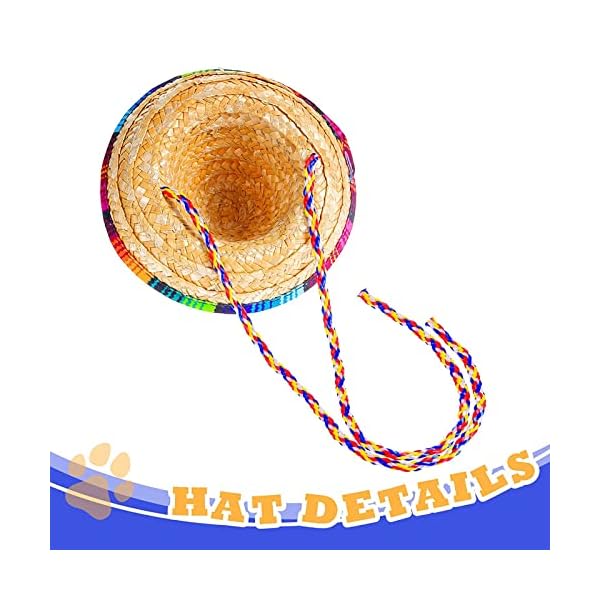 3 pcs mexican sombrero hat pet serape poncho costume include multicolor cinco de mayo dog bandana fiesta triangle bib dog sombrero hat round sunglasses costume for dog gifts cinco de mayo party decor - image 5