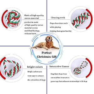   Dog-Rope-ToyDog-Toys-20-Pack-for-Fun-and-Teeth-Cleaning-Dog-Rope-Toys-for-Medium-to-Small-Dogs
