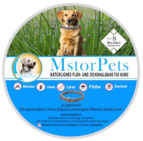 MstorPets | 100% Natürliches Flohhalsband ohne Chemie | Zeckenhalsband klein, & groß | Wasserdicht Größenverstellbar bis 8 Monate Zeckenschutz für Hunde | Anti Floh Hunde Katze [Grau]