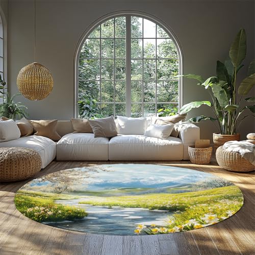 Tapis rond moderne 240cm tapis de sol de salon doux mince et lavable