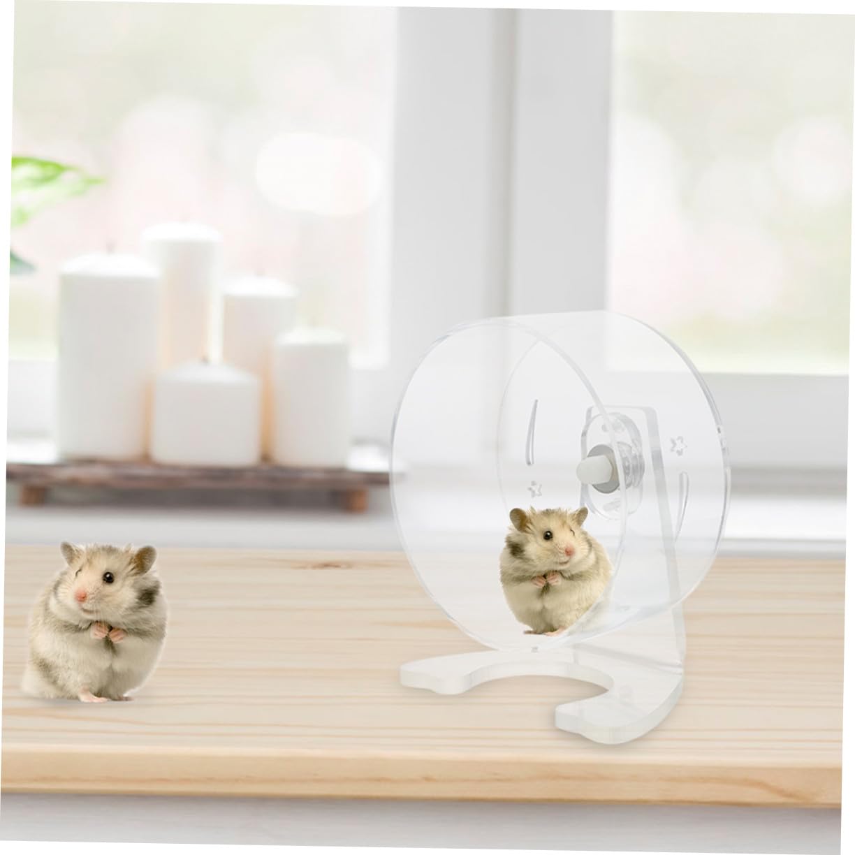Rueda para Hámster con Soporte Transparente Silenciosa para Ejercicio de Jerbos y Pequeños Roedores Resistente Fácil de Instalar