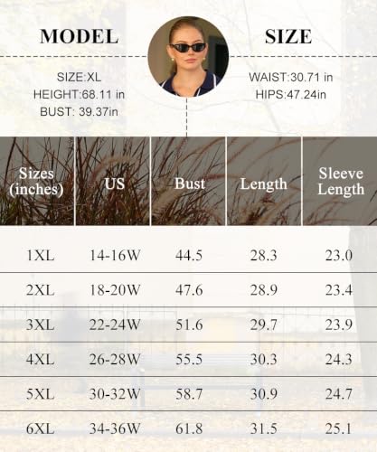Image of CARCOS Plus Size Sweaters for Women Long Sleeve Pullover Sweaters Lapel Collared Vneck Knit Jumper Tops Fall Winter XL-5XL