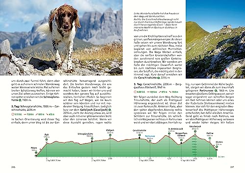 Hüttentouren mit Hund Alpen: 28 Mehrtagestouren. Mit GPS-Tracks. Mit großem Ratgeberteil (Rother Selection)