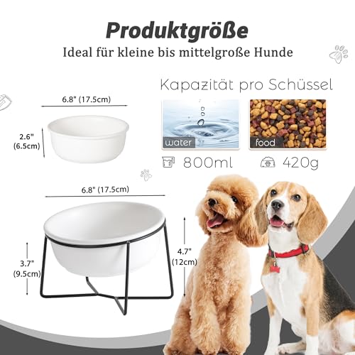 Hundenapf Keramik - Futternapf Hund Katzennapf - Futterstation Hund Katzen Erhöht mit Ständer - Fressnapf Wasser Futter Napf für Große Katzen und Mittelgroße Hunde - 850ml