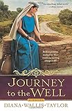 Journey to the Well: A Novel