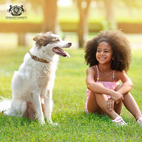 Vitamin & Essential Oil Sunscreen and Skin Conditioner For Dogs - 8 FL OZ (236 mL) - Thumbnail 2