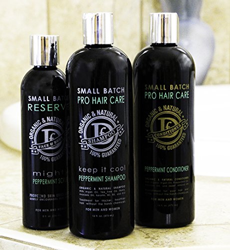 Dave’s Premium Sulfate Free Hair Conditioner, 16 Oz. Dry And Damaged Treatment With Organic Natural Argan Oil, Peppermint, Avocado, And Almond Oils - Sulfate Free For Men, Women, And Teens #TOP4