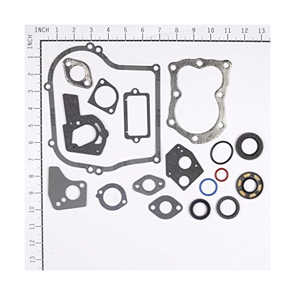 Briggs & Stratton Motordichtsatz 495603 397145, 297615 – Bild 3