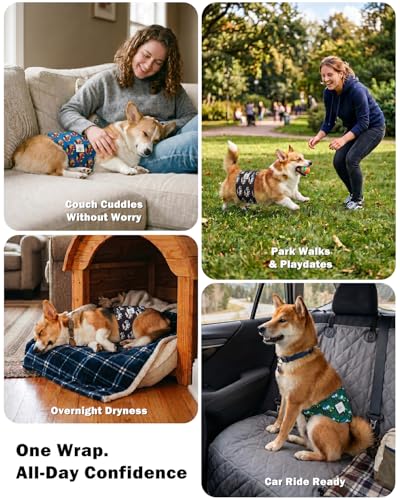 Image of CuteBone Dog Diapers Male Belly Bands 3 Pack for Male Dogs Reusable Puppy Wraps