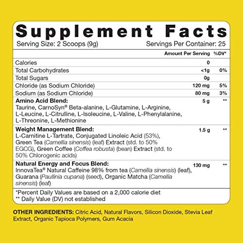 Rsp Nutrition Vegan Aminolean Pre Workout Energy (Pineapple Coconut 25 Servings) With Truefit Vegan Protein Powder (Salted Chocolate 2 Lb) #TOP5
