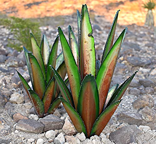 Decor Haven & Co. Outdoor Statues Garden Décor, Metal Cactus Yard Art. Handmade Rustic Agave Tequila Plant Sculpture. Patio Backyard Lawn Ornaments And Accessories For Home (12" & 16" Green) #TOP7