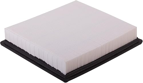 ECOGARD Filtro de aire de motor XA5568 Premium para Ford Mustang 4.0L 2005-2010, Mustang 4.6L 2005-2009